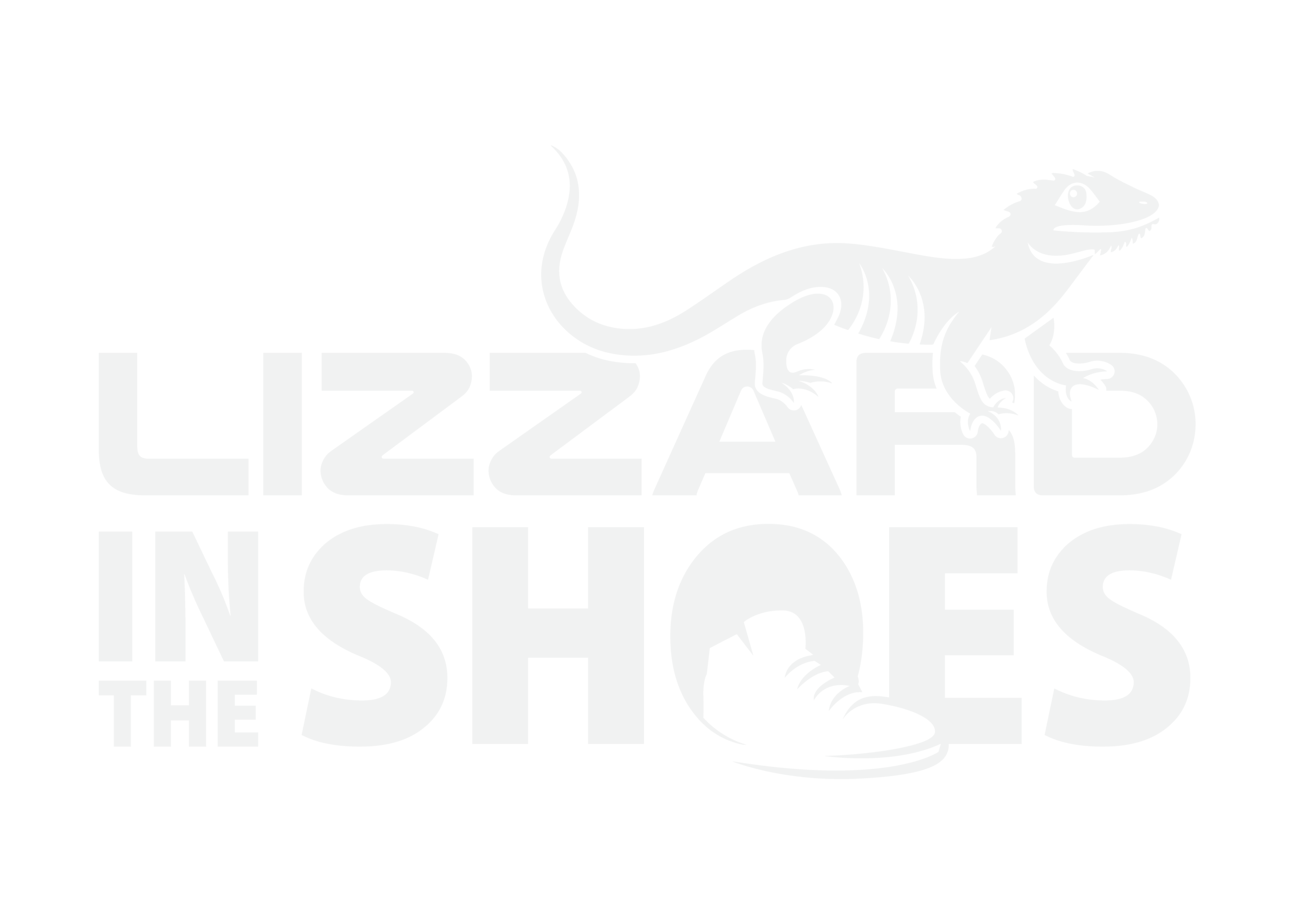 lizzardintheshoes.com